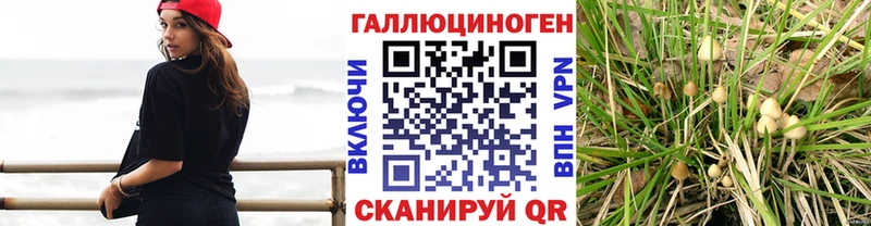 Галлюциногенные грибы прущие грибы darknet наркотические препараты Дегтярск